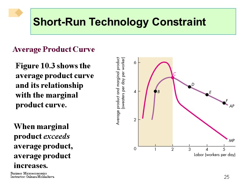25 Short-Run Technology Constraint Average Product Curve Figure 10.3 shows the average product curve